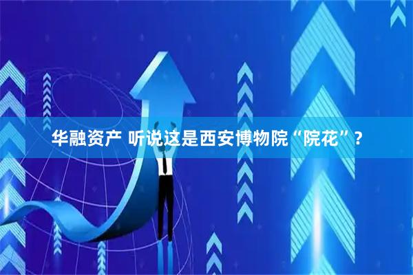 华融资产 听说这是西安博物院“院花”？