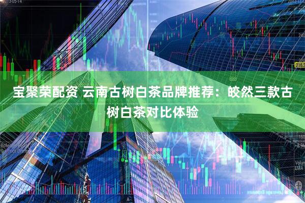 宝聚荣配资 云南古树白茶品牌推荐:皎然三款古树白茶对比体验