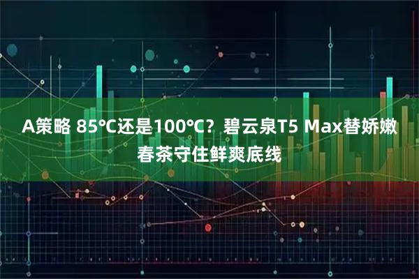 A策略 85℃还是100℃？碧云泉T5 Max替娇嫩春茶守住鲜爽底线