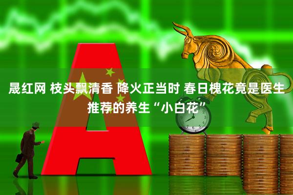 晟红网 枝头飘清香 降火正当时 春日槐花竟是医生推荐的养生“小白花”