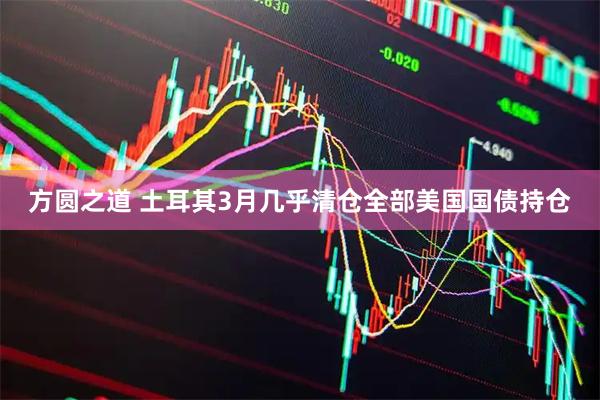 方圆之道 土耳其3月几乎清仓全部美国国债持仓