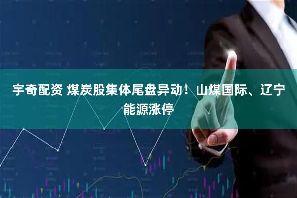宇奇配资 煤炭股集体尾盘异动！山煤国际、辽宁能源涨停