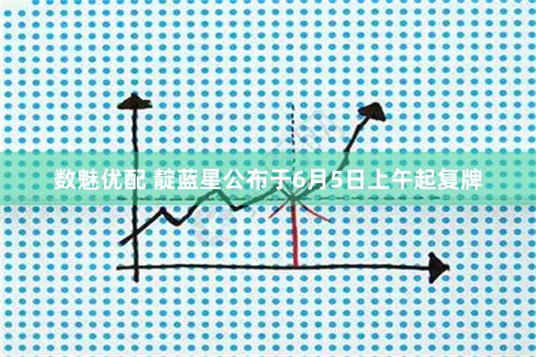 数魅优配 靛蓝星公布于6月5日上午起复牌
