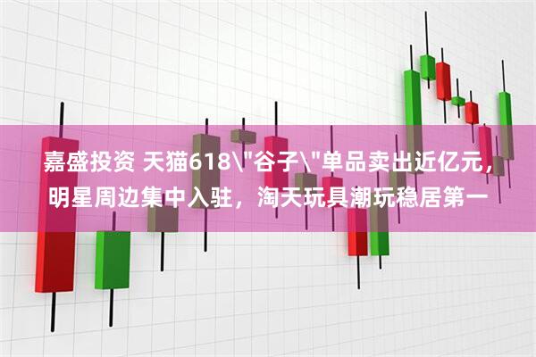 嘉盛投资 天猫618