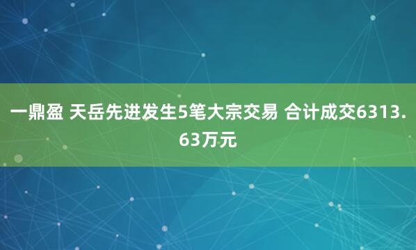 一鼎盈 天岳先进发生5笔大宗交易 合计成交6313.63万元