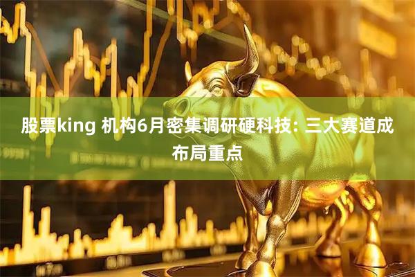 股票king 机构6月密集调研硬科技: 三大赛道成布局重点