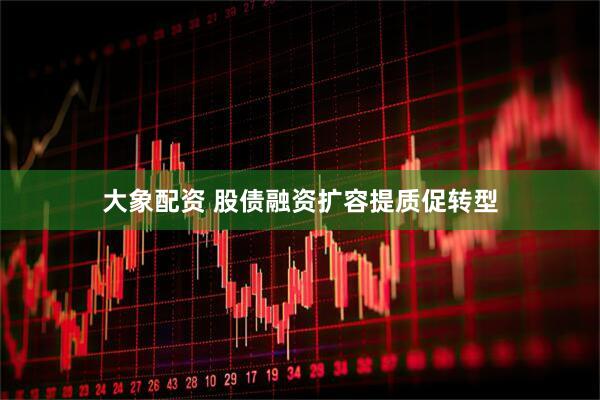 大象配资 股债融资扩容提质促转型